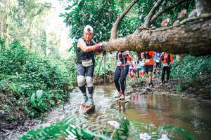 BIB: 
                            <button type="button" onclick="openModal(25515149)" class="btn btn-primary btn-sm float-right btn-popup" data-toggle="modal" data-target=".modal-high-quality">
                        <i class="fas fa-shopping-cart"></i> Add to Cart
                    </button>
                                            <button type="button" onclick="isThisMe(25515149, true)" class="btn btn-success btn-sm float-right btn-popup btn-isme hidden" data-toggle="tooltip" data-placement="bottom" title="นี่คือรูปของคุณใช่ไหม คลิกที่นี่เพื่อเอาเข้าอัลบั้ม">
                        <i class="fas fa-plus"></i> Add to album
                    </button>
                    <button type="button" onclick="isThisMe(25515149, false)" class="btn btn-warning btn-sm float-right btn-popup btn-isnotme hidden">
                        <i class="fas fa-ban"></i> Remove from album
                    </button>